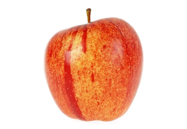 Na białym tle na białym tle owoc czerwony jabłko — Zdjęcie stockowe