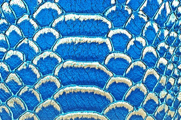 Textura da pele de cobra azul. Pode ser usado como fundo . — Fotografia de Stock