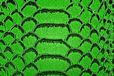 Yılan derisi arka plan olarak