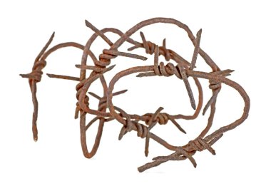 Paslı dikenli tel beyaz arka plan üzerinde