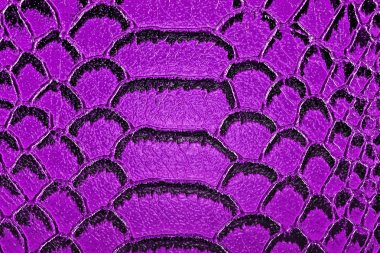 Menekşe yılan deri arka plan