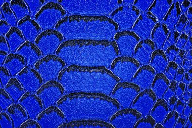 Yılan derisi arka plan olarak