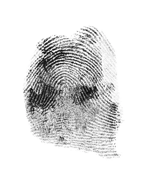 Close up of thumb print on white paper — Stock Photo, Image