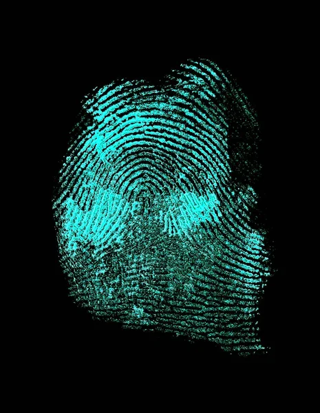 Fingerprint with ultraviolet lamp. Blue identification symbol on