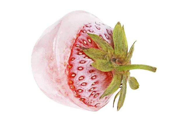 Erdbeere im Eis isoliert auf weißem Hintergrund — Stockfoto