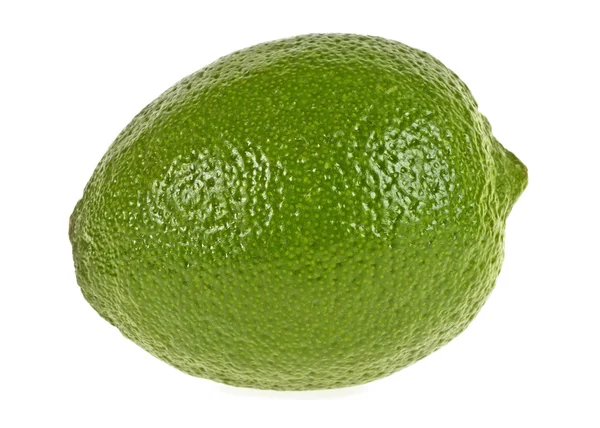 Lime isolated on a white background — Stock Photo, Image
