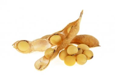 Soya bakla ve beyaz bir arka plan üzerinde izole fasulye. Organik f