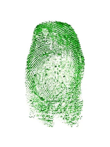 Green fingerprint of an index finger on a white background — Stock Photo, Image