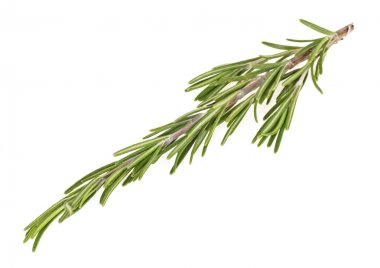 Beyaz arka plan üzerinde closeup izole taze biberiye