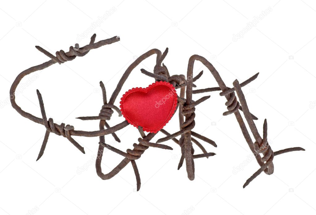 Red heart is hung on the barbed wire, white background