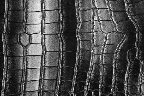 Textura da pele de crocodilo preto, como fundo — Fotografia de Stock