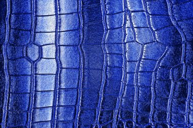 Mavi doku timsah derisinden, sürüngen.