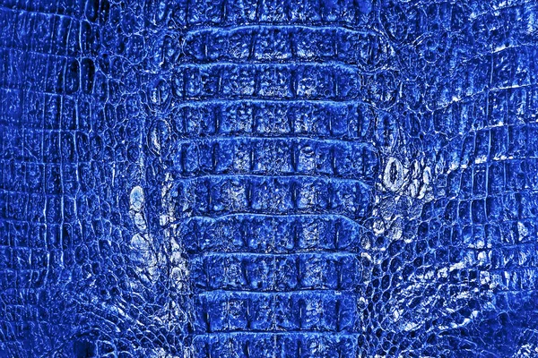 Textura da pele de crocodilo azul abstrato — Fotografia de Stock