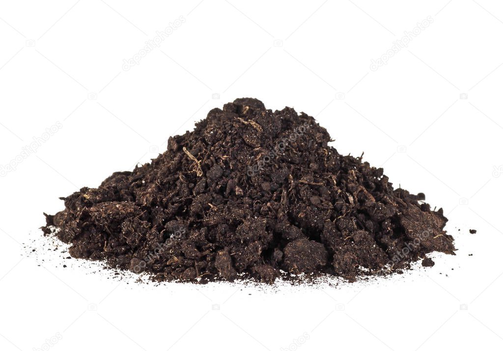 Pile dirt of soil land on white background