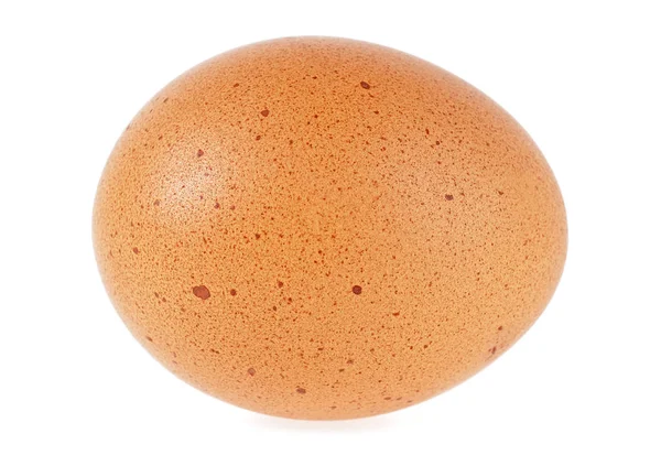 Único ovo marrom isolado no fundo branco — Fotografia de Stock
