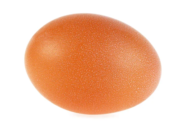 Коричневое яйцо на белом фоне — стоковое фото