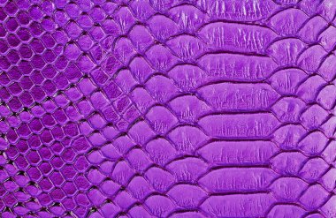 Menekşe yılan deri arka plan