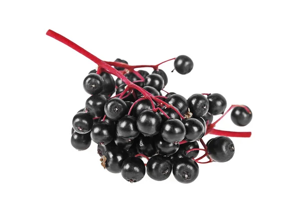 Buah segar elderberry hitam pada latar belakang putih — Stok Foto