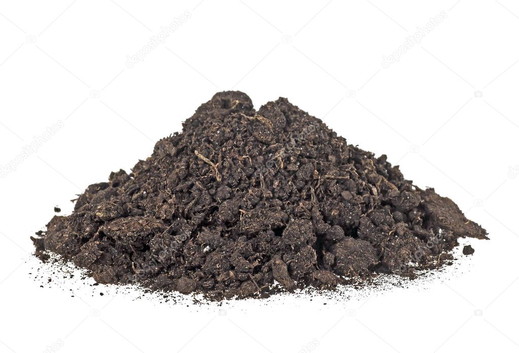 Pile dirt of soil land on white background