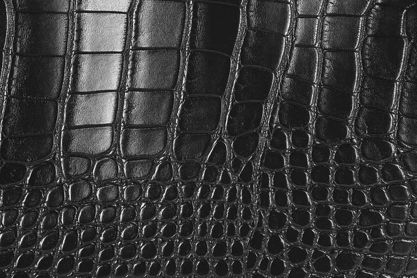 Black crocodile leather texture — Stock Photo, Image