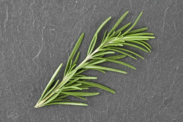 Sprig of rosemary on a dark background. Top view. — Stock Photo, Image
