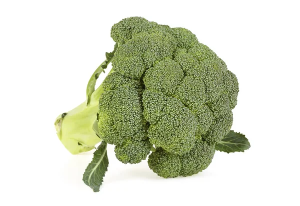 Broccoli geïsoleerd op witte achtergrond — Stockfoto