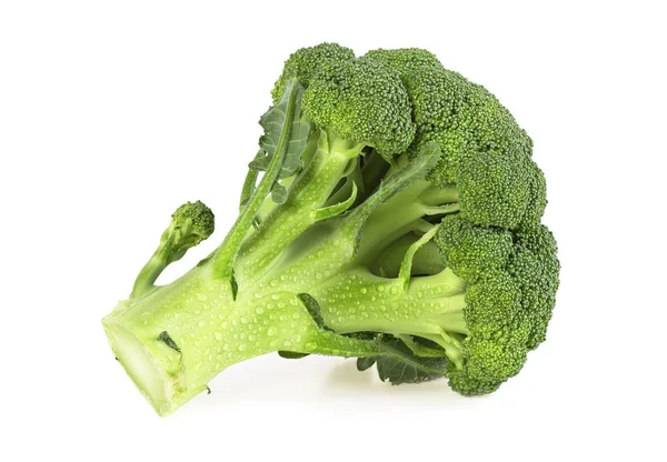 Broccoli med vatten droppar på vit bakgrund — Stockfoto