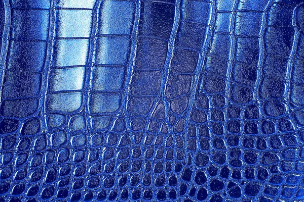蓝色鳄鱼皮革纹理 — 图库照片