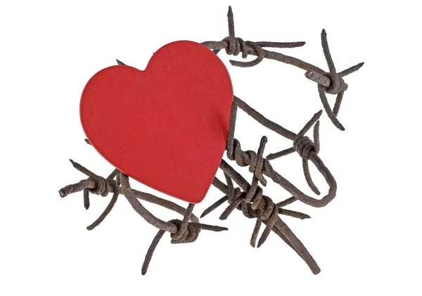 Corazón rojo sobre alambre de púas, fondo blanco — Foto de Stock