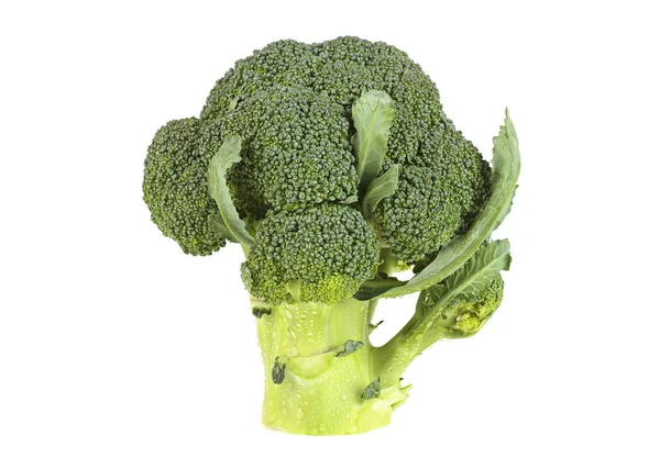 Brokkoli mit Wassertropfen auf weißem Hintergrund — Stockfoto