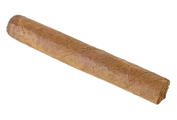 New smoking cigar isolated over the white background — Stock Photo, Image