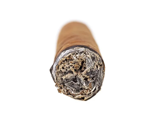 Brinnande brun cigarr isolerad på en vit bakgrund, framifrån — Stockfoto