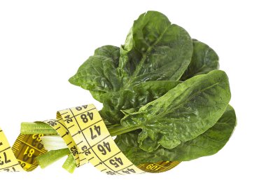 ıspanak mezura ile beyaz zemin bırakır.