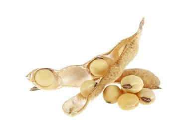 Soya bakla ve beyaz arka plan üzerinde fasulye