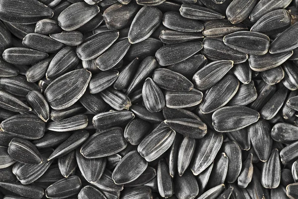 Black sunflower seeds. For texture and background.