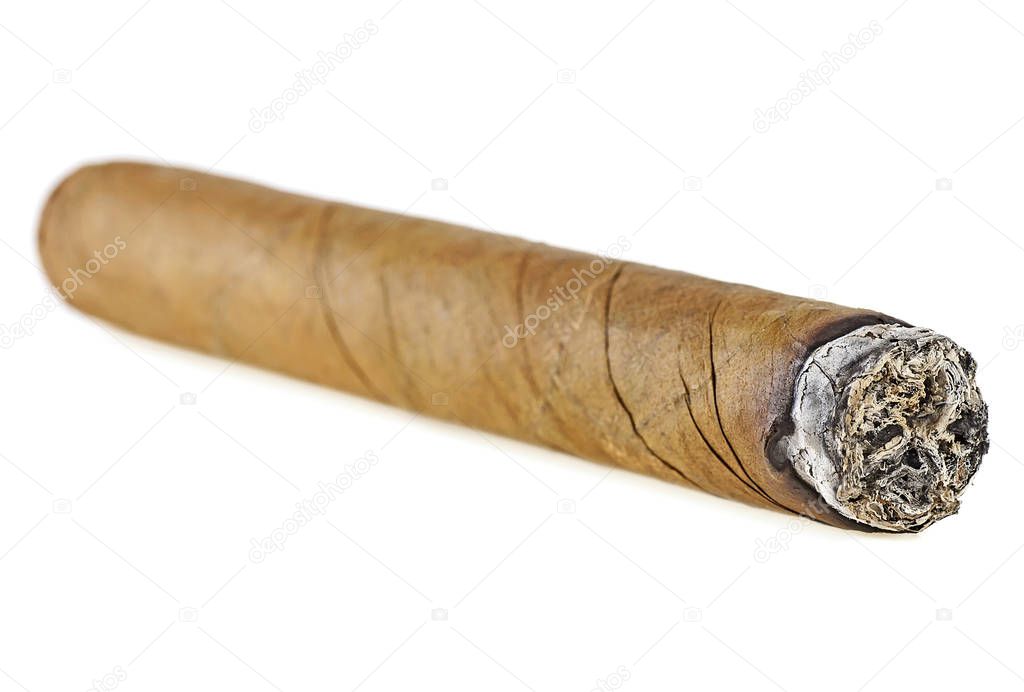 Smoking havana cigar isolated on a white background