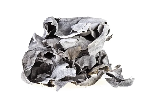 Έκαψαν, απανθρακωμένα χαρτί που απομονώνονται σε λευκό φόντο — Φωτογραφία Αρχείου