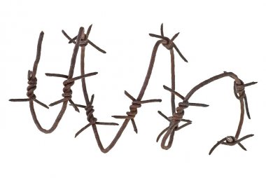 Beyaz bir arka plan üzerinde dikenli tel. Sarmal formu.