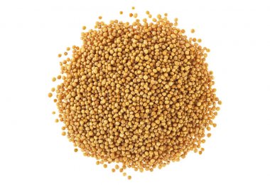 Beyaz arka plan üzerinde üstten görünüm izole sarı hardal tohumu