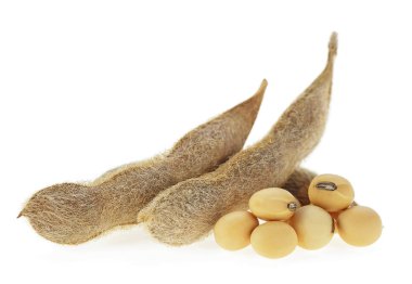 Beyaz bir arka plan üzerinde izole soya fasulyesi