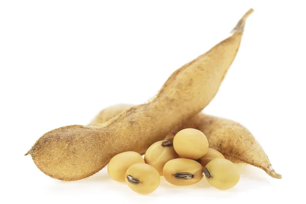 Beyaz arka plan üzerinde izole soya bakla. Soya - protein bitki 