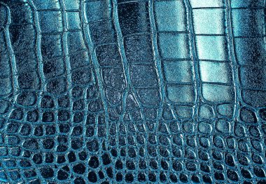 Timsah doku, arka plan olarak deri.