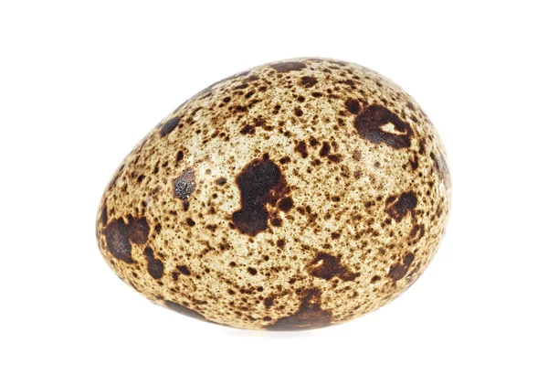 Single quail egg isolated over white background — Stock Photo, Image