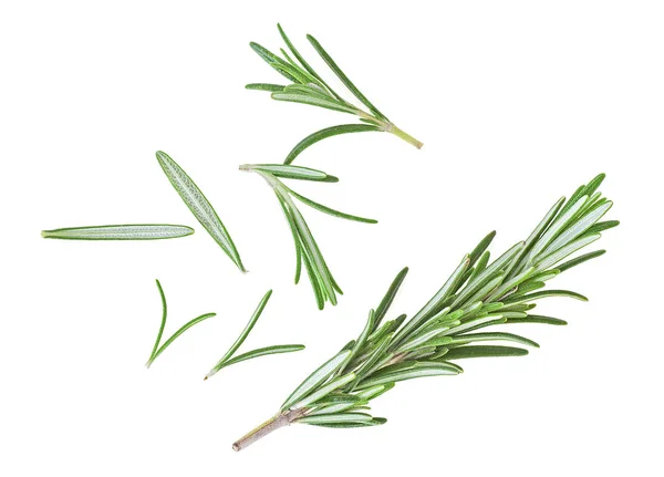 Fresh rosemary on a white background — Stock Photo, Image