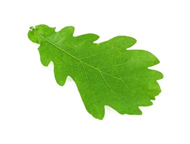 el sabor de los mariscos