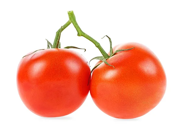 Paar reife rote Tomaten auf weißem Hintergrund. Tomaten auf Büstenhalter — Stockfoto