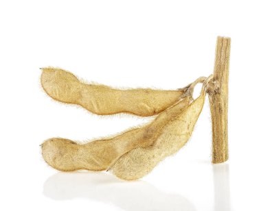 Beyaz arkaplanda soyalı soya fasulyesi kabukları