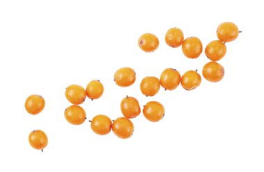 Beyaz bir arka planda izole edilmiş deniz dikenli böğürtlenleri manzarası