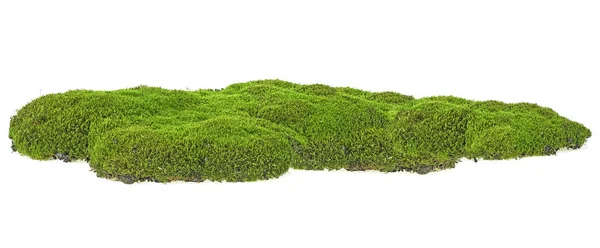 Зелений моховий пагорб ізольований на білому тлі. Повна глибина f — стокове фото