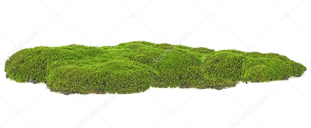 Green mossy hill isolated on a white background. Full depth of f